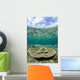 Large Table Coral Grows Wall Decal Design 2