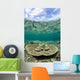 Large Table Coral Grows Wall Decal Design 2