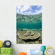 Large Table Coral Grows Wall Decal Design 2