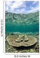 Large Table Coral Grows Wall Decal Design 2