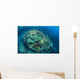 Colorful Reef-building Corals Grow Wall Decal Design 2