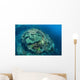Colorful Reef-building Corals Grow Wall Decal Design 2