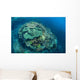 Colorful Reef-building Corals Grow Wall Decal Design 2