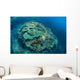 Colorful Reef-building Corals Grow Wall Decal Design 2