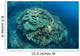 Colorful Reef-building Corals Grow Wall Decal Design 2
