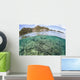 Beautiful Coral Reef Grows Wall Decal Design 5