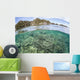 Beautiful Coral Reef Grows Wall Decal Design 5