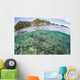 Beautiful Coral Reef Grows Wall Decal Design 5