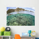 Beautiful Coral Reef Grows Wall Decal Design 5