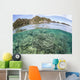Beautiful Coral Reef Grows Wall Decal Design 5