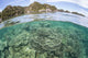 Beautiful Coral Reef Grows Wall Decal Design 5