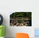 Colorful Crinoid Clings to Wall Decal Design 3