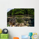 Colorful Crinoid Clings to Wall Decal Design 3