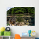 Colorful Crinoid Clings to Wall Decal Design 3