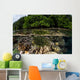 Colorful Crinoid Clings to Wall Decal Design 3