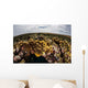 Colorful Coral Reef Grows Wall Decal Design 4