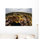 Colorful Coral Reef Grows Wall Decal Design 4