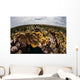 Colorful Coral Reef Grows Wall Decal Design 4