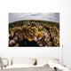 Colorful Coral Reef Grows Wall Decal Design 4