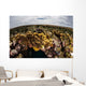 Colorful Coral Reef Grows Wall Decal Design 4