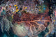 Colorful Coral Reef Grows Wall Decal Design 3