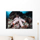 Fat Starfish Clings to Wall Decal