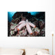 Fat Starfish Clings to Wall Decal