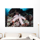 Fat Starfish Clings to Wall Decal