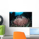 Massive Barrel Sponge Grows Wall Decal Design 4