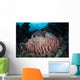 Massive Barrel Sponge Grows Wall Decal Design 4
