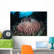 Massive Barrel Sponge Grows Wall Decal Design 4