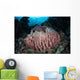 Massive Barrel Sponge Grows Wall Decal Design 4