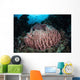 Massive Barrel Sponge Grows Wall Decal Design 4