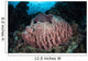 Massive Barrel Sponge Grows Wall Decal Design 4