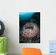 Massive Barrel Sponge Grows Wall Decal Design 3