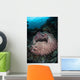 Massive Barrel Sponge Grows Wall Decal Design 3