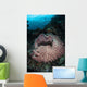 Massive Barrel Sponge Grows Wall Decal Design 3