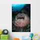 Massive Barrel Sponge Grows Wall Decal Design 3