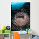 Massive Barrel Sponge Grows Wall Decal Design 3