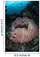 Massive Barrel Sponge Grows Wall Decal Design 3