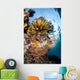 Colorful Coral Reef Grows Wall Decal Design 2