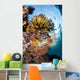 Colorful Coral Reef Grows Wall Decal Design 2