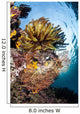 Colorful Coral Reef Grows Wall Decal Design 2