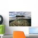 Soft Corals Thrive Reef Wall Decal