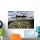Soft Corals Thrive Reef Wall Decal
