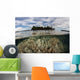 Soft Corals Thrive Reef Wall Decal