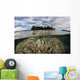 Soft Corals Thrive Reef Wall Decal