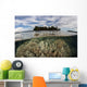 Soft Corals Thrive Reef Wall Decal