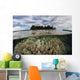 Soft Corals Thrive Reef Wall Decal