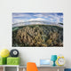 Soft Corals Thrive Healthy Wall Decal